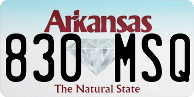 AR license plate 830MSQ