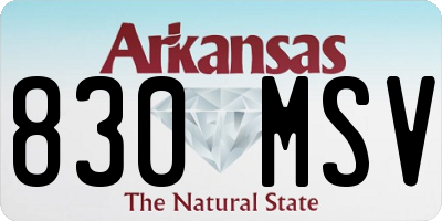 AR license plate 830MSV