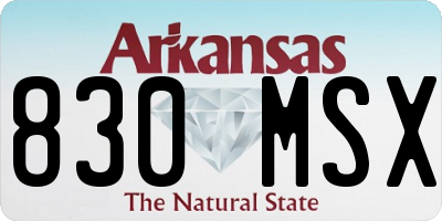AR license plate 830MSX