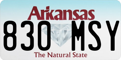 AR license plate 830MSY