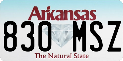 AR license plate 830MSZ