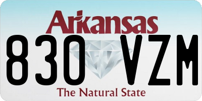 AR license plate 830VZM