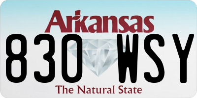 AR license plate 830WSY
