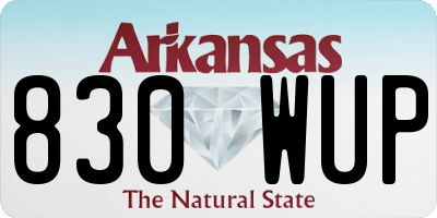AR license plate 830WUP