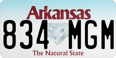 AR license plate 834MGM