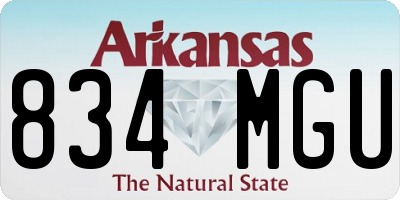 AR license plate 834MGU