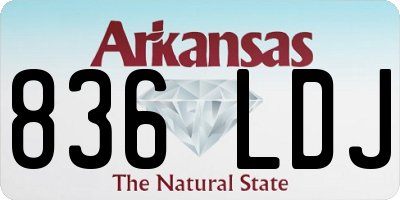 AR license plate 836LDJ