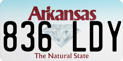 AR license plate 836LDY