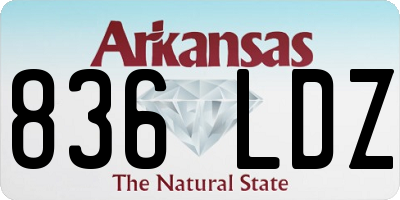 AR license plate 836LDZ