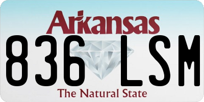 AR license plate 836LSM
