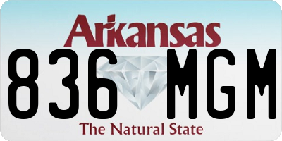 AR license plate 836MGM