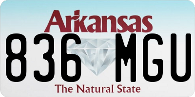 AR license plate 836MGU