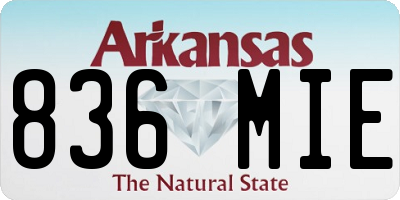 AR license plate 836MIE