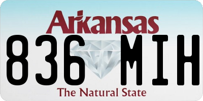 AR license plate 836MIH