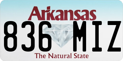 AR license plate 836MIZ