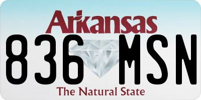 AR license plate 836MSN