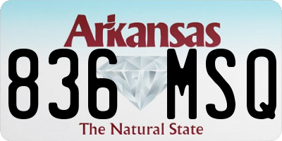 AR license plate 836MSQ