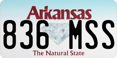 AR license plate 836MSS
