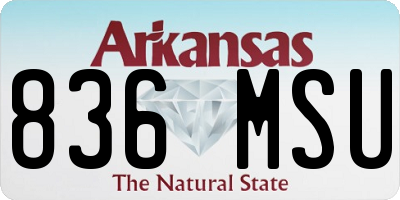 AR license plate 836MSU