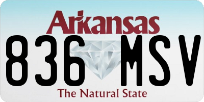 AR license plate 836MSV