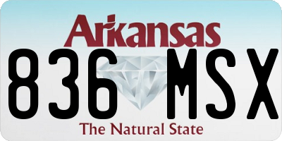 AR license plate 836MSX