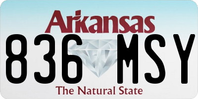 AR license plate 836MSY