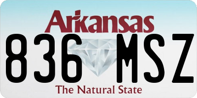 AR license plate 836MSZ