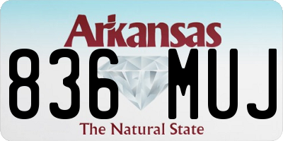 AR license plate 836MUJ