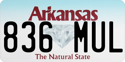 AR license plate 836MUL