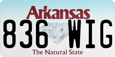 AR license plate 836WIG
