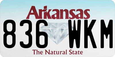 AR license plate 836WKM