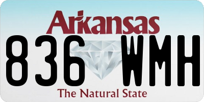 AR license plate 836WMH
