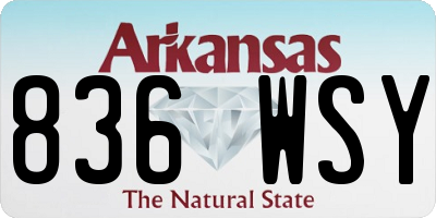 AR license plate 836WSY