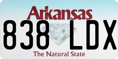AR license plate 838LDX