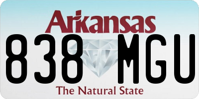 AR license plate 838MGU