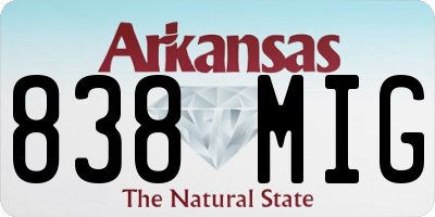AR license plate 838MIG