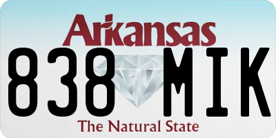 AR license plate 838MIK