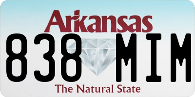 AR license plate 838MIM