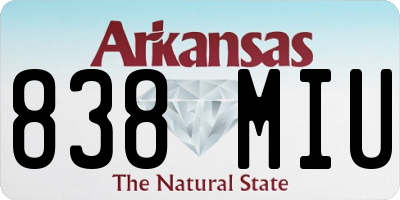 AR license plate 838MIU