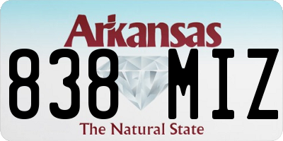 AR license plate 838MIZ