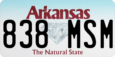 AR license plate 838MSM