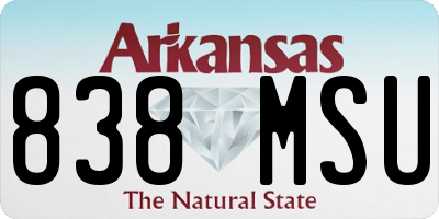 AR license plate 838MSU