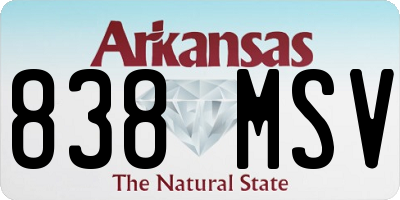 AR license plate 838MSV