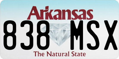 AR license plate 838MSX