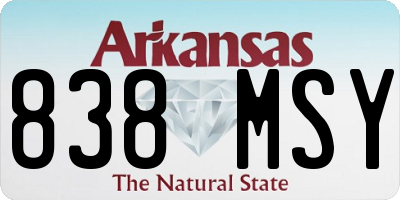 AR license plate 838MSY