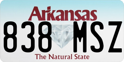 AR license plate 838MSZ