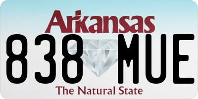 AR license plate 838MUE