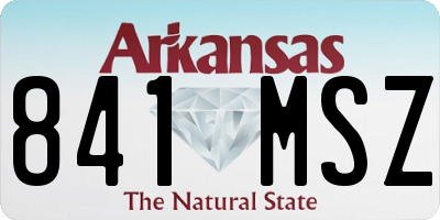 AR license plate 841MSZ