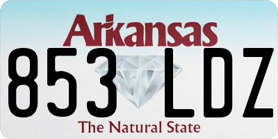 AR license plate 853LDZ