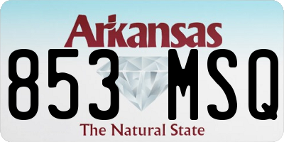 AR license plate 853MSQ